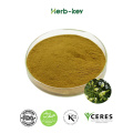 Natural Genista Tinctoria Extract Powder Genistein Powder