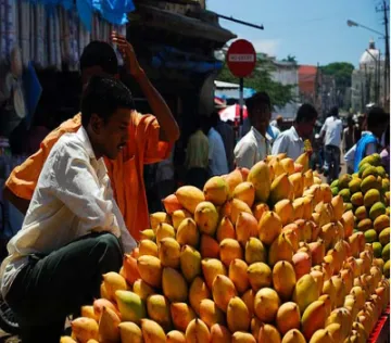 online shopping ethylene/banana ripener for mango fruit export from india