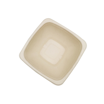 Disposable Sugarcane Bowl Bagasse Bowl Square Bowl