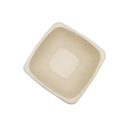 Disposable Sugarcane Bowl Bagasse Bowl Square Bowl