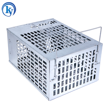 Humane Wooden Base Metal Rat Catcher cage