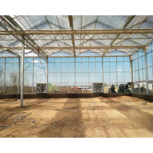Polycarbonate Sheet & Glass Greenhouse