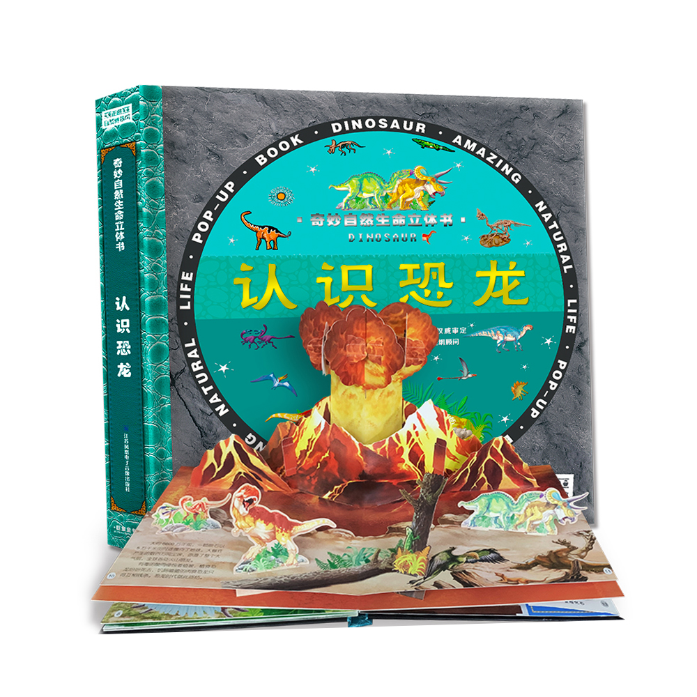 Vibrant Children's Pop Up Book