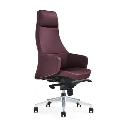 Modern Fashionable High Back Home Ergonomic Office Chair