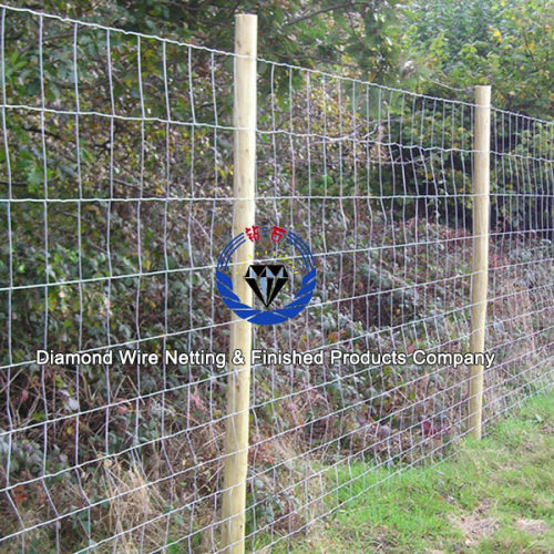 cattle fence/sheep fence/knotted wire mesh fence