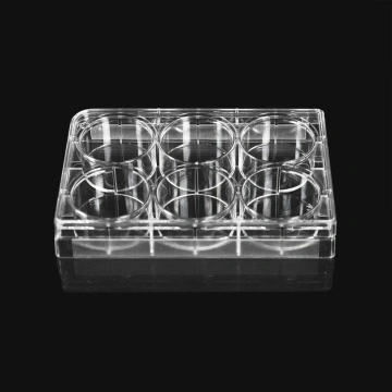 Offer 24 Well Plate,Cell Culture Plate,6 Well Plate From China Manufacturer