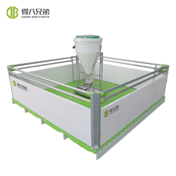 Hot Selling Galvanized Pipe Pig Farm Equipment for Piglet Raising