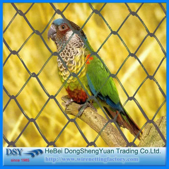 31 Years Factory Galvanized Chain Link Mesh