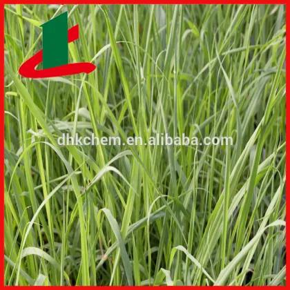Natura Citronella Oill in Bulk