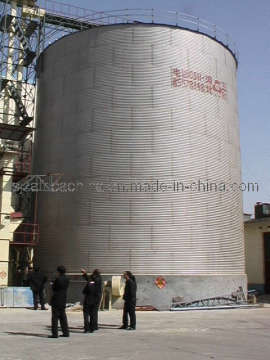 Silo for Storing Grain with Africa Market