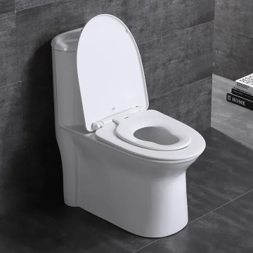 toilet seat mould