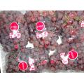 Globe Best Quality Grape Grado superiore in vendita