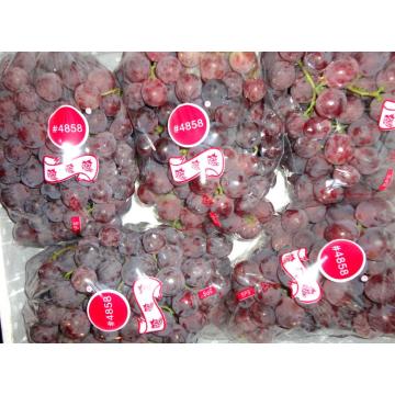 Uvas de globo rojo fresco de alta calidad para la exportación