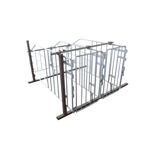 Durable Solid Rod Sow Gestation Stall For Pigs