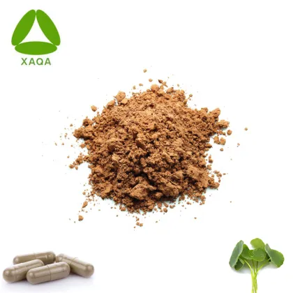 Capsules Nature Centella Asiatica Extract Powder 10:1