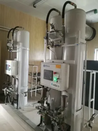 PAS Oxygen Concentrator Oxygen Generator