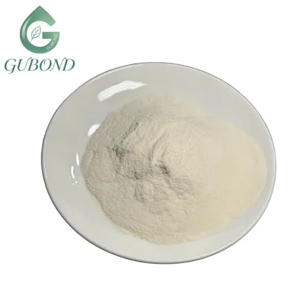 Lactobacillus acidophilus 10 Billion CFU Probiotic Powder