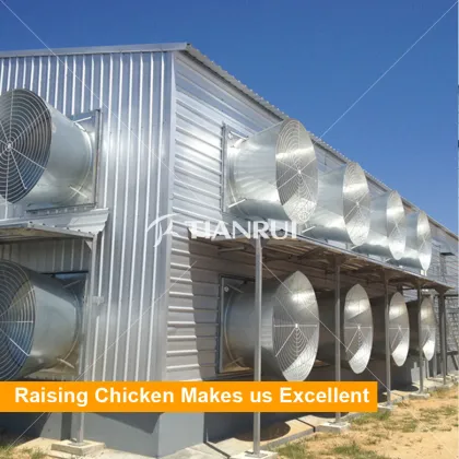 Low cost prefab chicken house steel chicken house