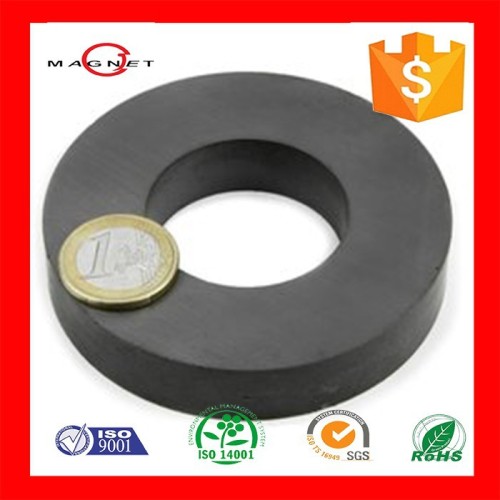 CJ MAG hotsale rare earth ferrite ring round magnet for car