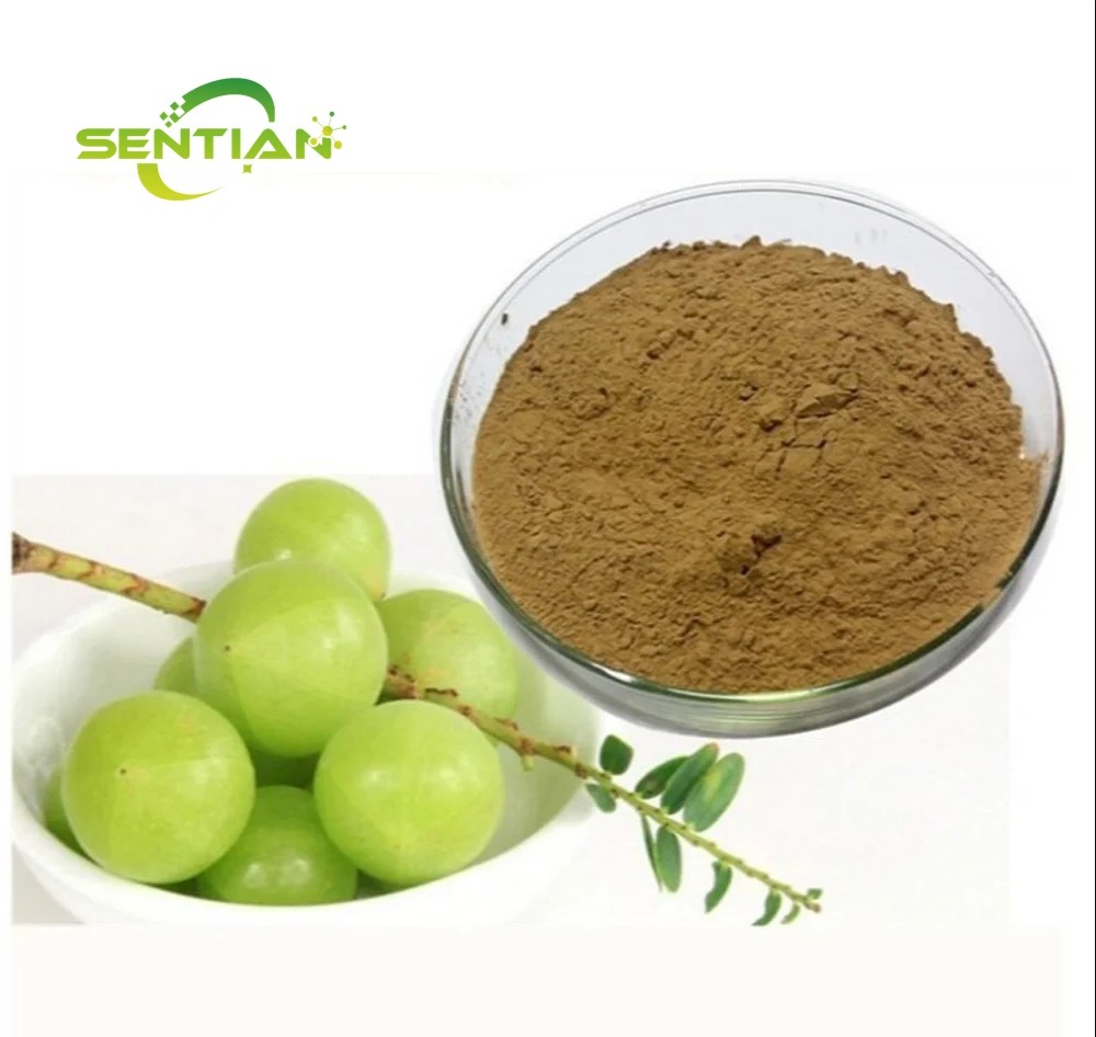 Phyllanthus emblica Extract