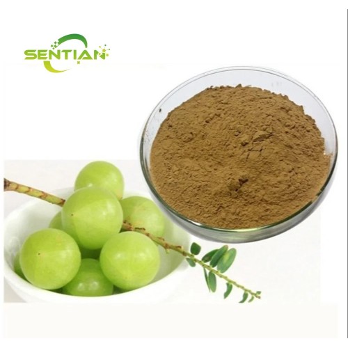 Organic Phyllanthus Emblica Extract Gallic Acid