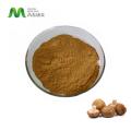 shiitake gomba alapú kivonat poliszacharid