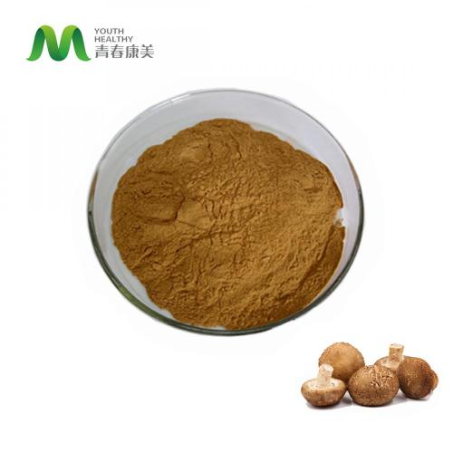 Shiitake Mushroom-based Extract shiitake mushroom-based extract polysaccharide Manufactory