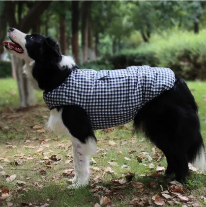 New style customized high quality wholesale pet clothing