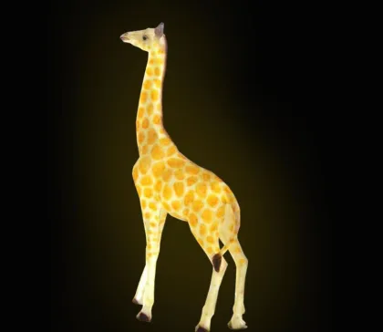 Simulation Giraffe B Lights