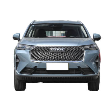 Chinese Brand Haval H6 1.5T 0km Luxury Gasoline SUV