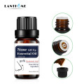 Beauty Nose Essential Oil Camellia Seed Oil Jojoba Oil Moisturizing 10ml Nose Care Essential Oil