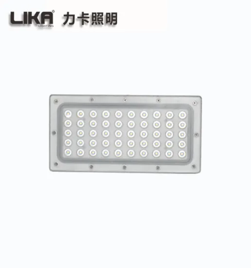 50W High Brightness Outdoor Projection Led Floodlight