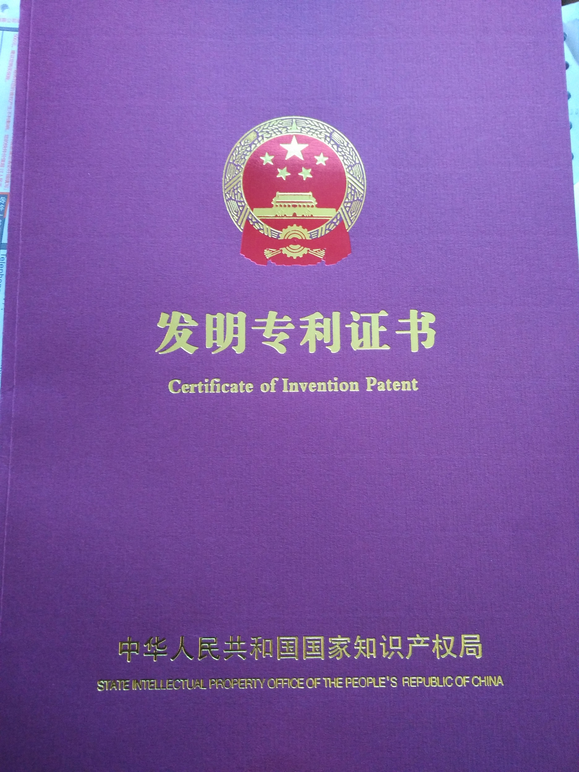 invention patent (2)
