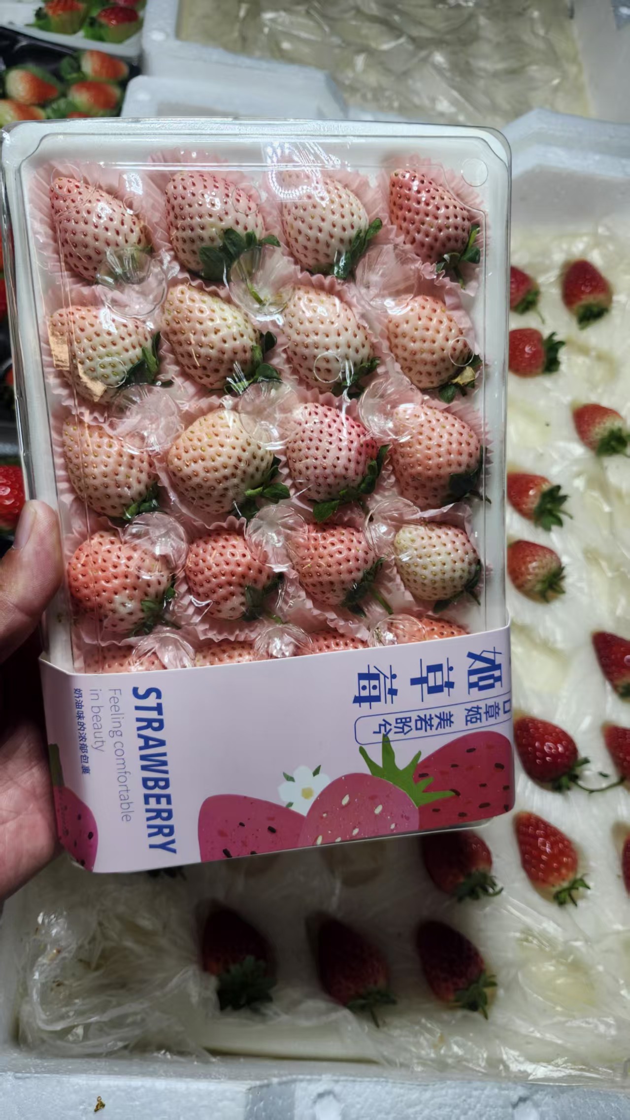 Strawberries Strawberries