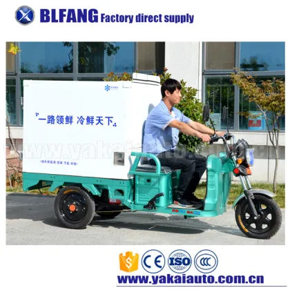 Mobile Mini electric refrigerator body / refrigerator body