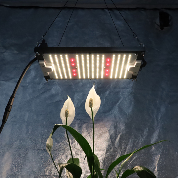 KingBrite IP65 Waterproof 120W LM301H Red LED Growing Lamp