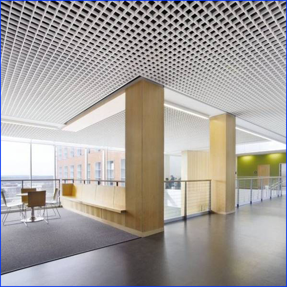 Steel Ceiling Grille