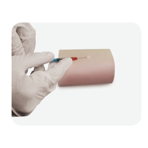 Intestine Surgical Procedure Model Intradermal Injection Training Sleeve Supplier