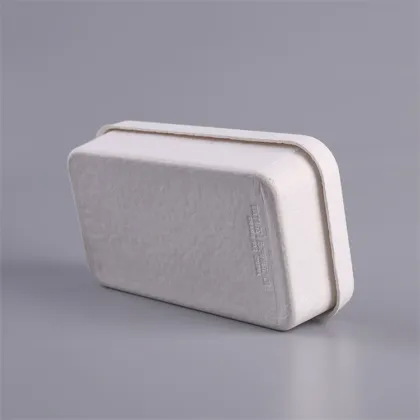 Paper Pulp Molded Underwear Package Box