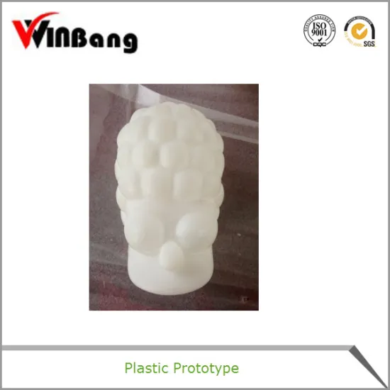 China Plastic Rapid Prototype
