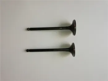 Jac S5 Engine Valve for 2.0L Engine 1003201GD050