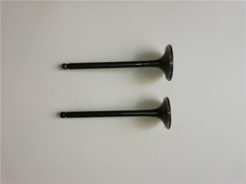 Jac S5 Engine Valve for 2.0L Engine 1003201GD050