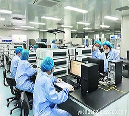 Chinese Fruit White Apple Cider Vinegar Powder