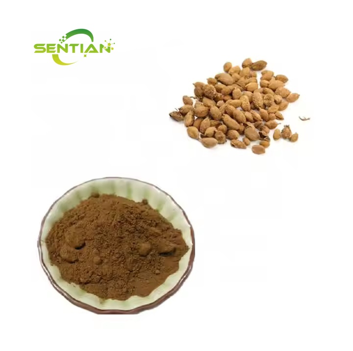Plant Extract Fructus Amomi Amomum Villosum Extract
