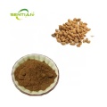Plant Extract Fructus Amomi Amomum Villosum Extract