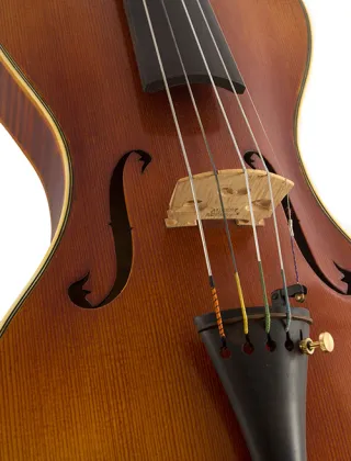5 strings freely switch violin & cello