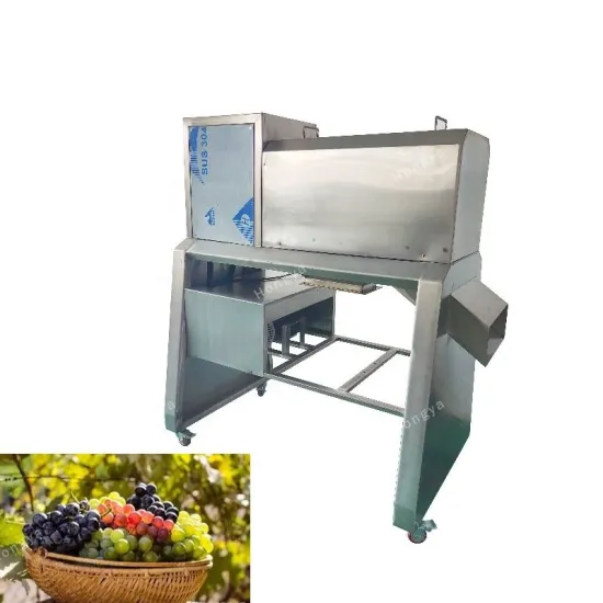 Stainless Steel Grape Destemming and Threshing Machine | Industrial Pomegranate Deseeding Equipment