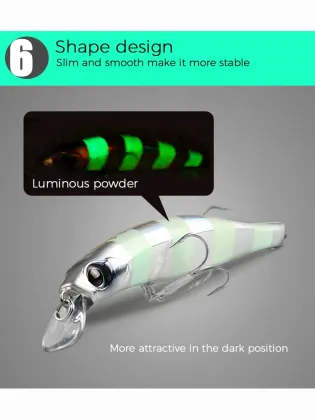 Bearking Jackson 10.5cm 16g Hard Bait for Carp Fishing