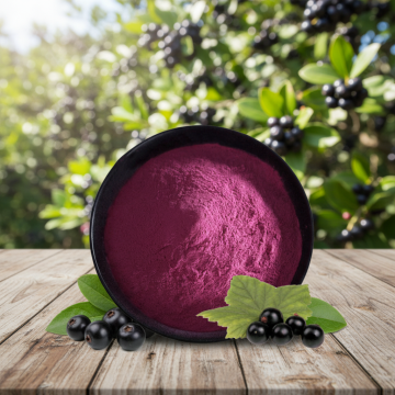 Bulk Natural Maqui Berry Extract Powder Maqui Berry Powder Anthocyanin 10%