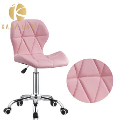 Beauty Salon Master Stool